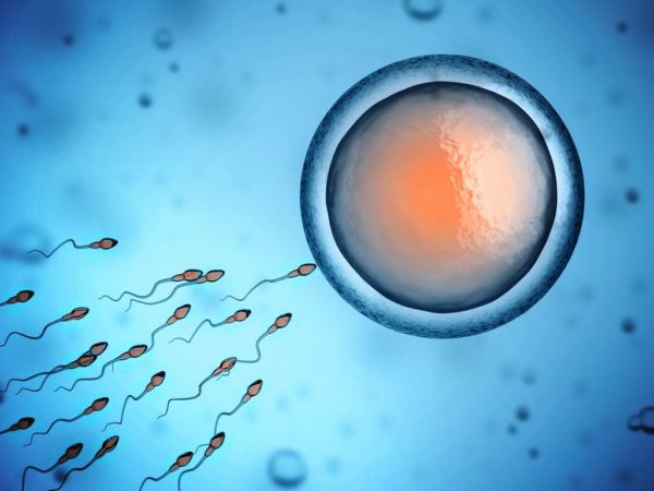 Γονιμότητα: 8 πράγματα που ίσως δεν γνωρίζετε | imommy.gr