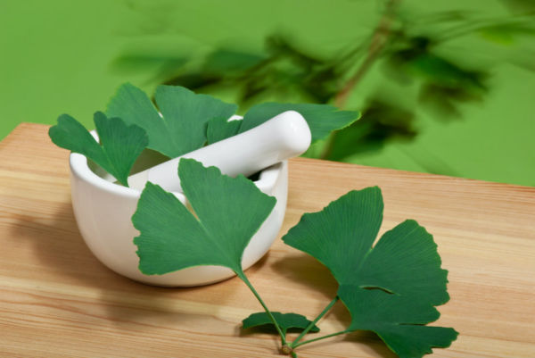 Ginkgo biloba: πώς μας ωφελεί | imommy.gr