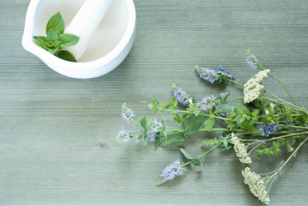 Διώξτε τα κουνούπια φυσικά | imommy.gr