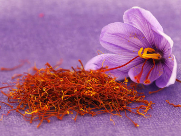 Το σαφράν στο μικροσκόπιο | imommy.gr