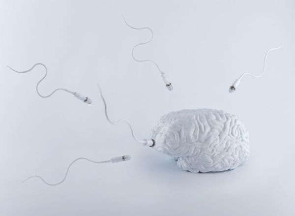 Υπογονιμότητα: Για όλα «φταίει» ο εγκέφαλος! | imommy.gr