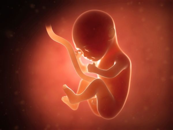 Τι πιστεύουν τα παιδιά για την ζωή  πριν… γεννηθούν; | imommy.gr