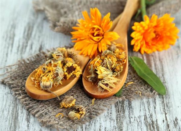 Καλέντουλα: top καλλυντικό | imommy.gr