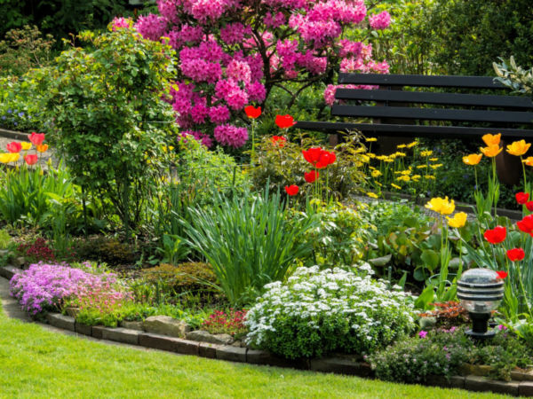 Σώστε τον κήπο από τη ζέστη | imommy.gr