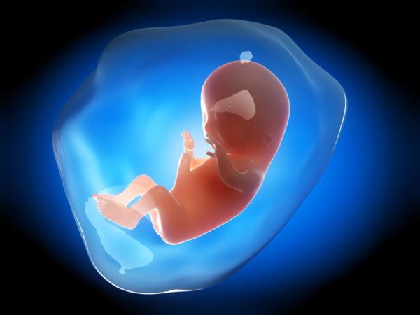 Εγκυμοσύνη: 14η εβδομάδα | imommy.gr