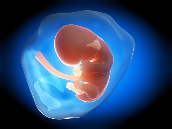 Εγκυμοσύνη: 12η εβδομάδα | imommy.gr