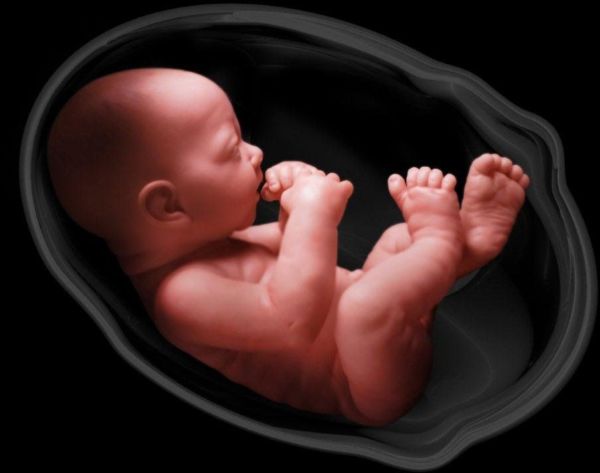 Βίντεο: Το θαύμα της ανθρώπινης δημιουργίας | imommy.gr