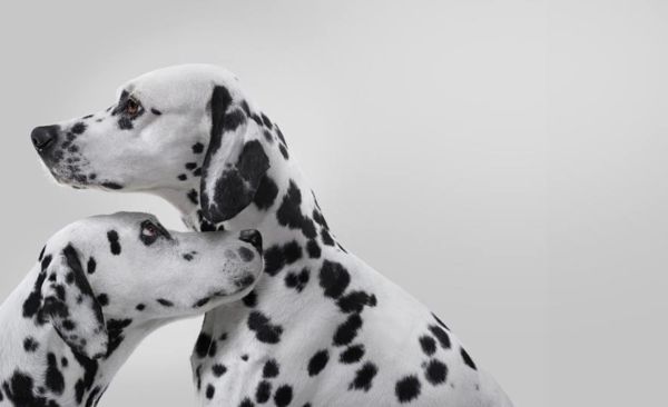 Γίνε κι εσύ skin checker! | imommy.gr