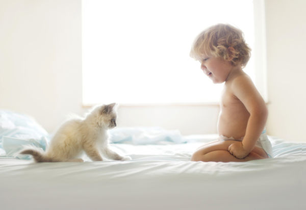 Εικόνες: Οι γιοι μου και οι πανέμορφες γάτες μας | imommy.gr