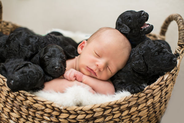 Εικόνες: Ένα νεογέννητο μωρό ανάμεσα σε 9 νεογέννητα κουτάβια! | imommy.gr