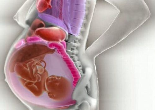 Βίντεο: Δείτε πώς μετακινούνται τα όργανα της γυναίκας κατά την εγκυμοσύνη | imommy.gr