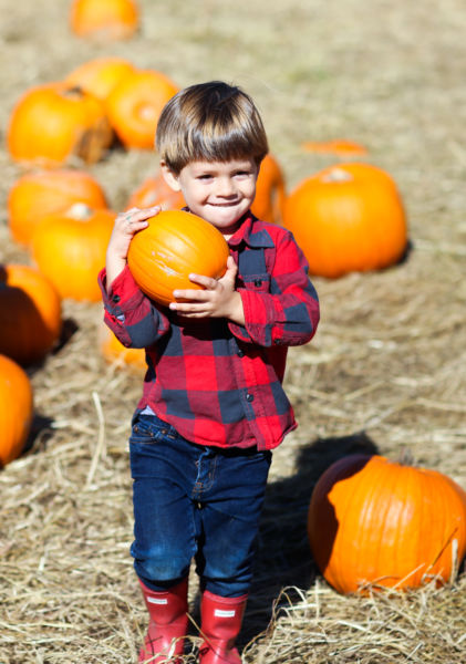 Επιχείρηση κολατσιό: 5 ιδέες για υγιεινά σνακ | imommy.gr