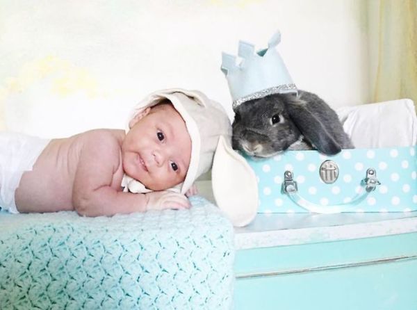 Φωτογραφίες: Νεογέννητο ποζάρει με το αγαπημένο του κουνελάκι | imommy.gr