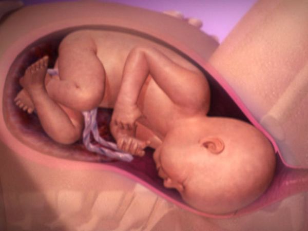 Βίντεο: Το συγκλονιστικό θαύμα του φύλου του μωρού στη μήτρα! | imommy.gr