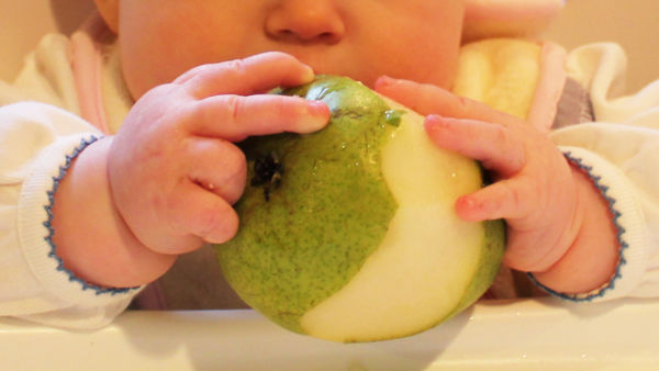 Αχλάδι: Τα διατροφικά του οφέλη για το παιδί | imommy.gr