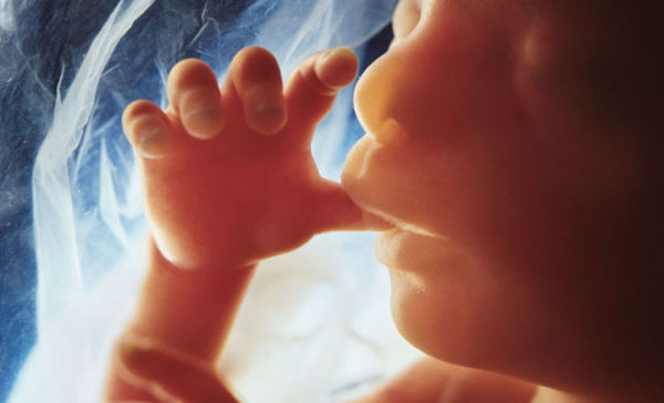 Βίντεο: Το θαύμα της εξέλιξης του εμβρύου στη μήτρα | imommy.gr