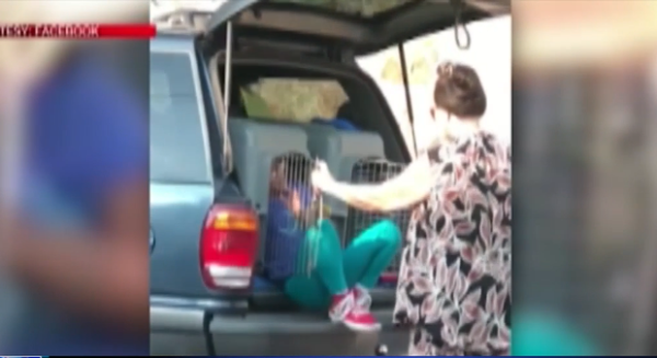 Σοκαριστικό βίντεο: Γυναίκα οδηγεί με τα εγγόνια της σε κλουβιά μεταφοράς ζώων | imommy.gr