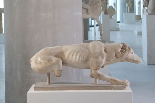 Αυτό το καλοκαίρι ανακαλύψτε τα ζώα του Μουσείου της Ακρόπολης | imommy.gr