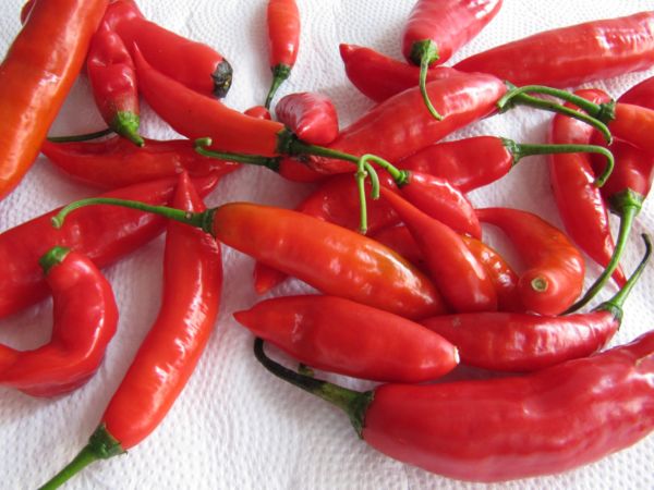 Πώς ωφελούν οι κόκκινες πιπεριές την υγεία μας | imommy.gr
