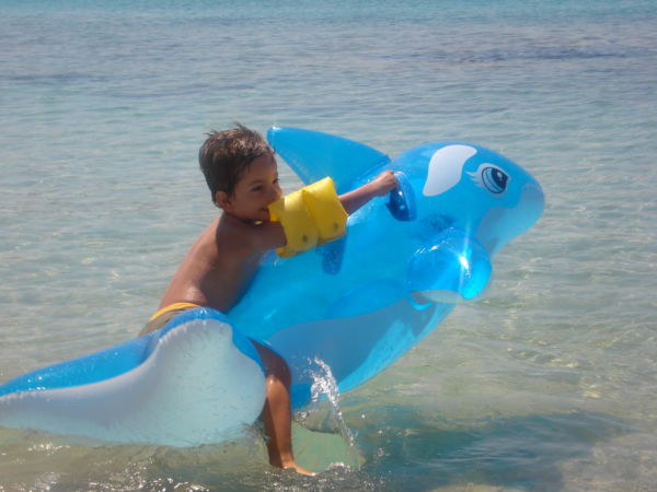 Το παιδί και το δελφίνι | imommy.gr