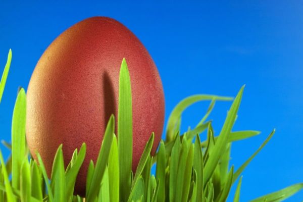 «Άνοιξη στον Ελληνικό Κόσμο» | imommy.gr