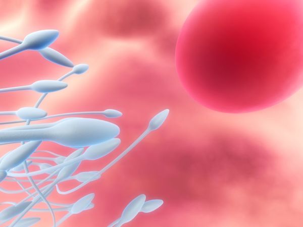 Έρευνα: Τελικά, δεν μετράει μόνο το μέγεθος! | imommy.gr