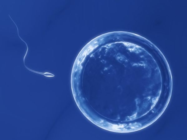 Σάουνα vs Αντρική γονιμότητα | imommy.gr