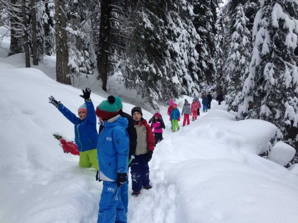 Βόλτα στις Άλπεις για μικρούς και μεγάλους | imommy.gr