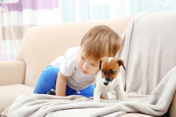 Πρέπει να κρατήσω μακριά το σκύλο από το νεογέννητο; | imommy.gr