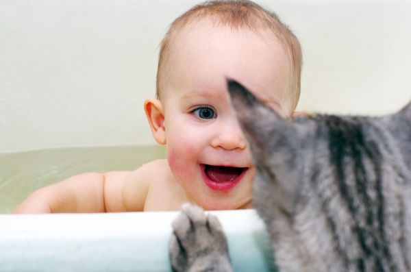 Ξεκαρδιστικό βίντεο με μωράκια που ενοχλούν γατάκια | imommy.gr