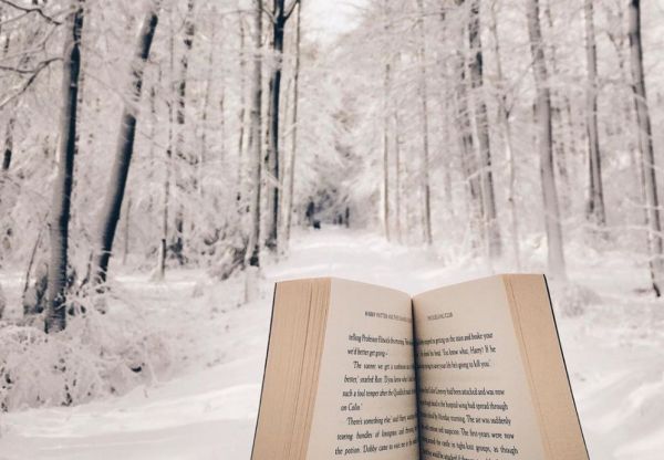 Αυτά τα τρία ζώδια έχουν την εξυπνάδα στη φύση τους | imommy.gr