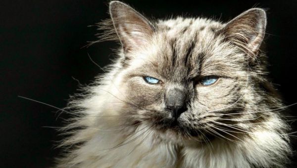 Aυτή η ατάκα θα εκνευρίσει κάθε ζώδιο | imommy.gr