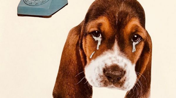 Όταν τα ζώδια κλαίνε | imommy.gr