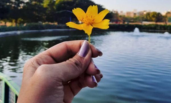 Τα ζώδια και η σχέση τους με την ειλικρίνεια | imommy.gr