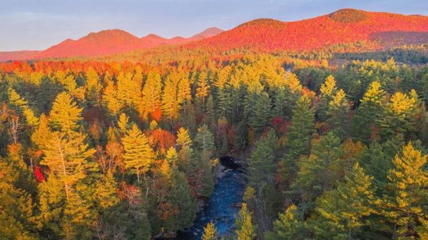 Οι αγαπημένες εποχές των ζωδίων | imommy.gr