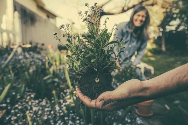 Εύκολοι και οικονομικοί τρόποι για να ομορφύνετε τον κήπο σας | imommy.gr