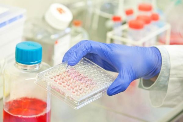 Εξουδετερωτικό αντίσωμα σχετιζόμενο με το SARS συντελεί στον έλεγχο του νέου κοροναϊού | imommy.gr