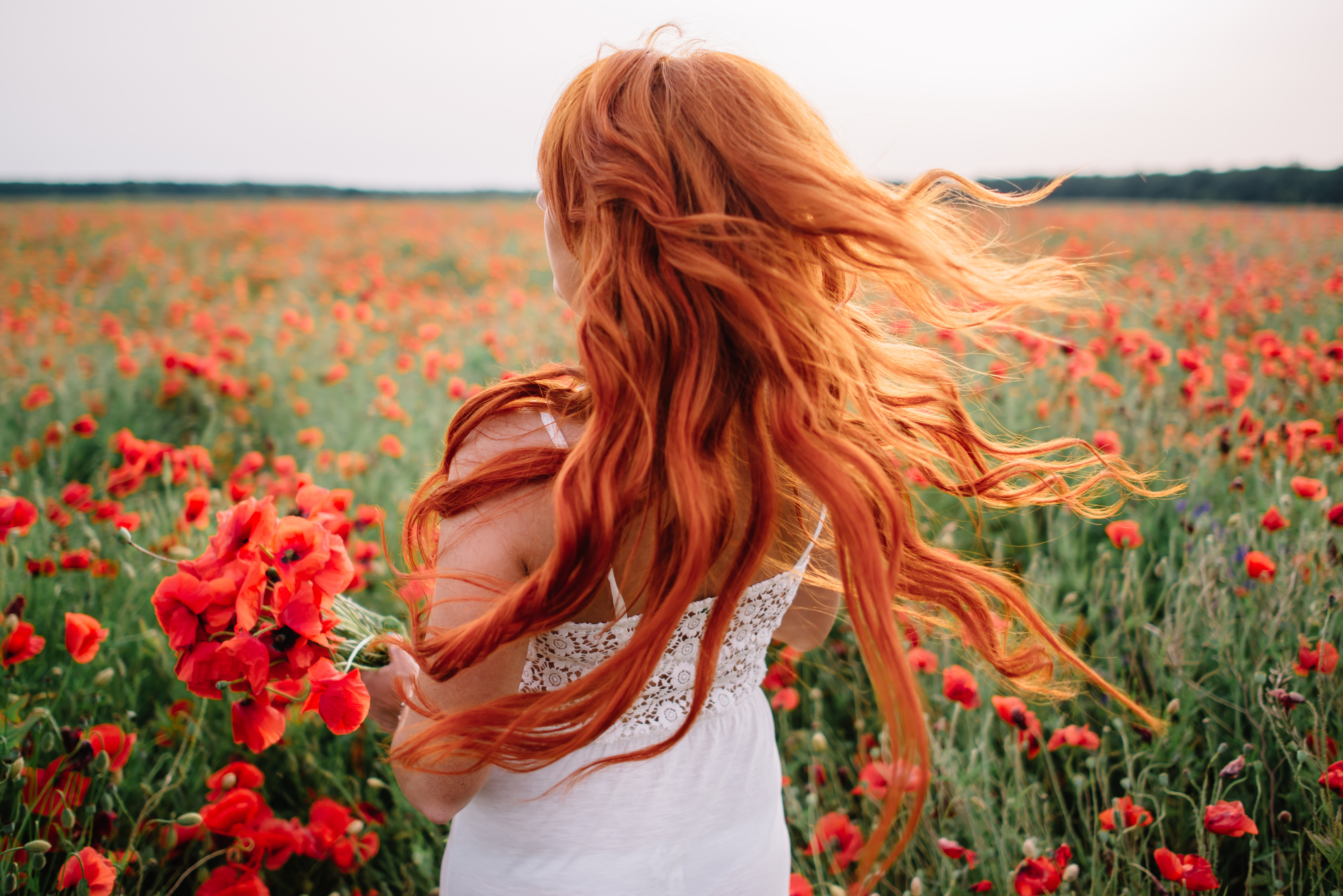 Золотых твоих волос. Рыжая девушка в поле. Девушки с рыжими волосами в поле. Рыжие волосы. Рыжая девушка со спины.