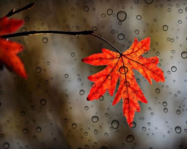 Ζώδια: Οι προβλέψεις για την Τρίτη 29 Σεπτεμβρίου | imommy.gr