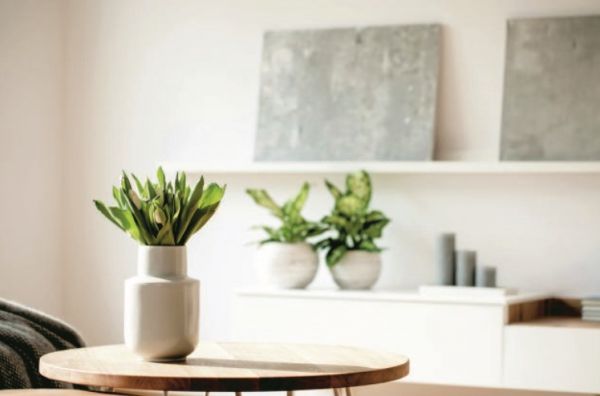 Κάντε το σπίτι σας να μυρίζει υπέροχα | imommy.gr