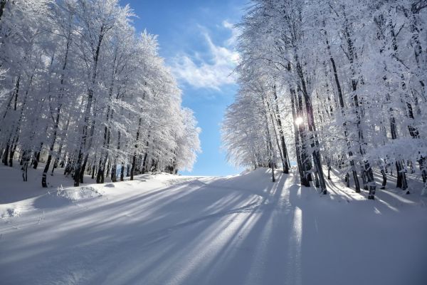 «Μήδεια»: Καταφθάνει με άγριες διαθέσεις – Που θα χιονίσει | imommy.gr