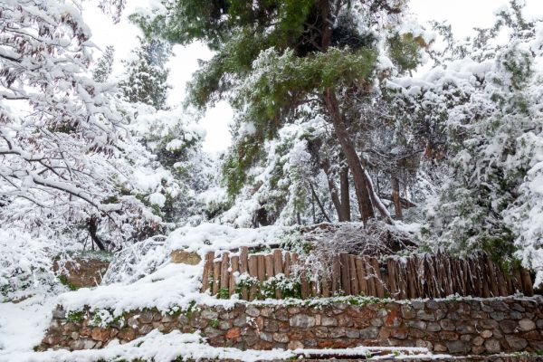 Σε κατάσταση έκτακτης ανάγκης ο δήμος Ωρωπού | imommy.gr