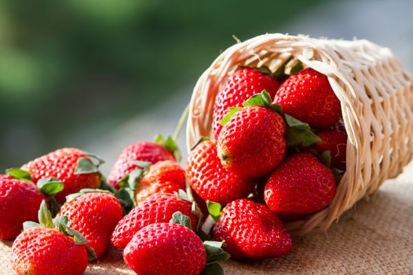 Πώς θα διατηρήσετε φρέσκες τις φράουλες; | imommy.gr