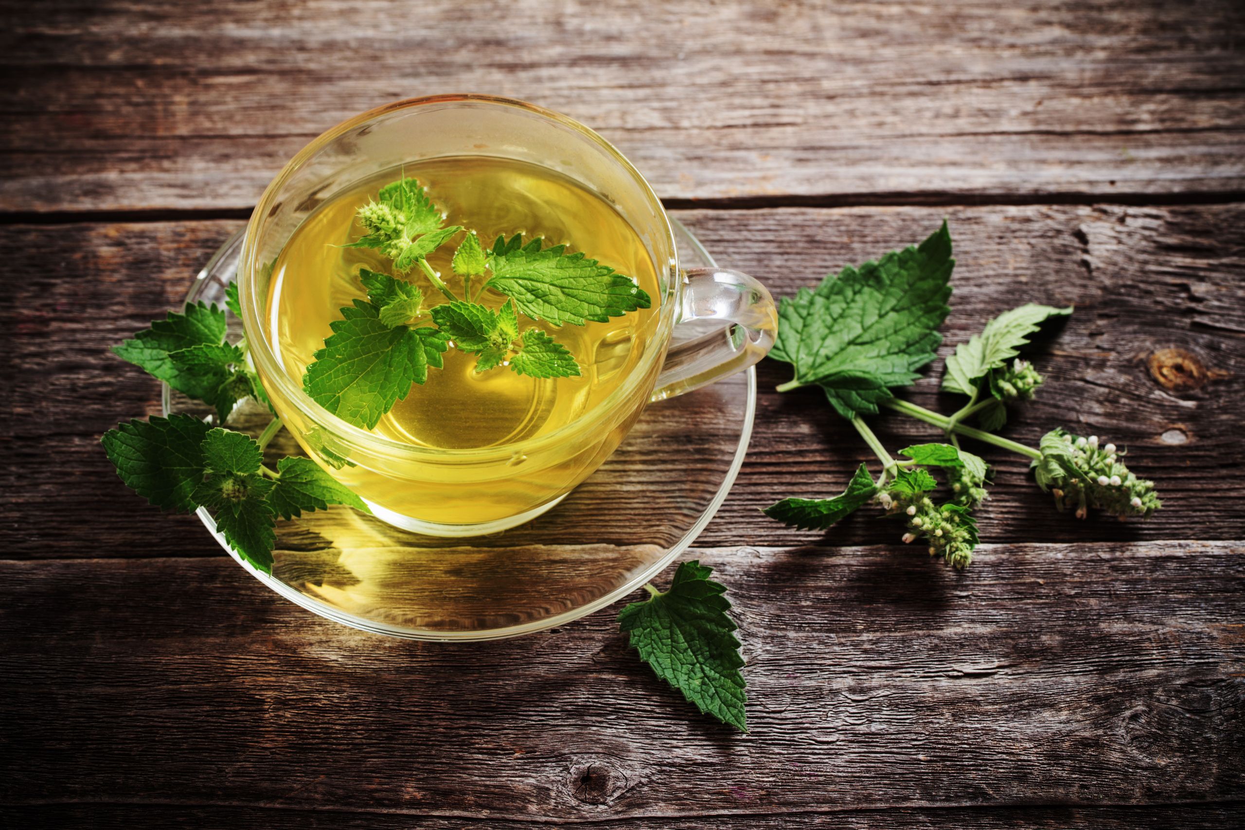 Πως το πράσινο τσάι βοηθά στην καύση λίπους; | nidozaragoza.es