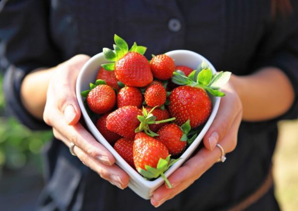 Γλυκό ψυγείου με βανίλια και φράουλες | imommy.gr