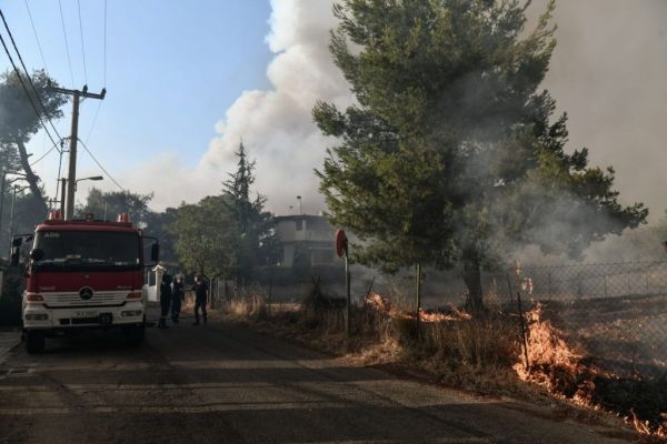 Φωτιά στο λεκανοπέδιο Αττικής – Εκκένωση σε Μαλακάσα, Καπανδρίτι, Πολυδένδρι | imommy.gr