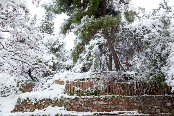 Μερομήνια – Ο φετινός χειμώνας θα είναι πολύ «βαρύς» | imommy.gr