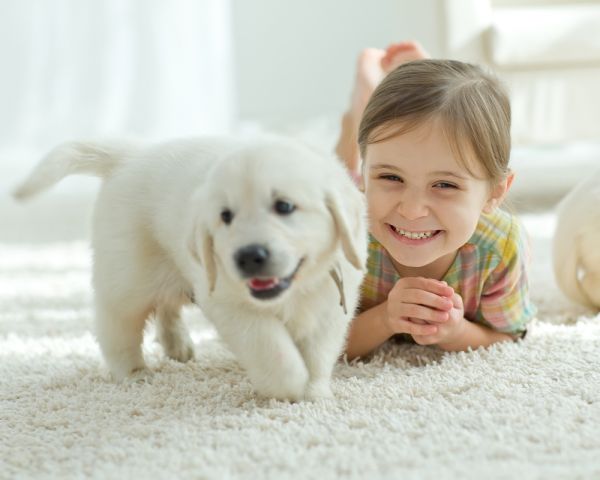 «Μαμά, θέλω ένα σκυλάκι» – Τι πρέπει να λάβετε υπόψη σας όταν το παιδί ζητάει κατοικίδιο | imommy.gr