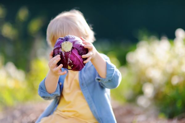 Ποιο λάχανο είναι πιο ωφέλιμο για το παιδί; | imommy.gr