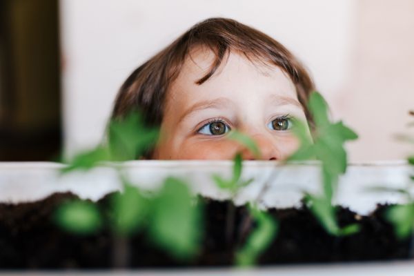 Παιδί: 10 εκπληκτικά οφέλη που έχει το δέος στην παιδική ηλικία | imommy.gr